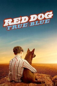 Chú Chó Trung Thành 2 Red Dog 2: True Blue