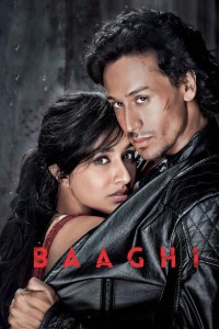 Giải Cứu Người Đẹp Baaghi
