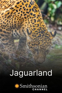 Jaguarland Jaguarland