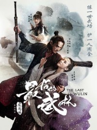 Nhất Đại Lãng Khách The Last Wulin
