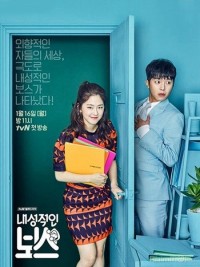 Ông Chủ Bí Ẩn Introverted Boss