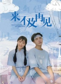 Quá muộn để nói lời tạm biệt Too Late to Say Goodbye