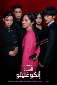 Quý Cô Ẩn Danh Ms. Incognito