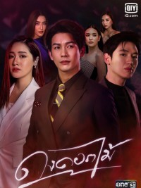 Rừng Hoa Rực Lửa Dong Dok Mai