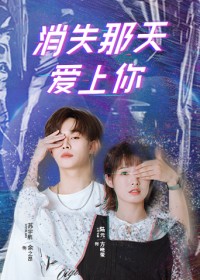 Tình Yêu Biến Mất Disappearing Love