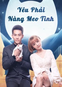 Yêu Phải Nàng Meo Tinh Falling in Love With Cat